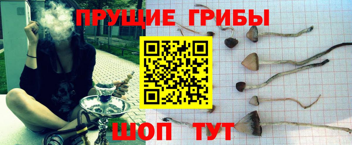 Кропоткин  Галлюциногенные грибы Magic Shrooms  Вход с VPN  Псилоцибиновые грибы Psilocybine cubensis 